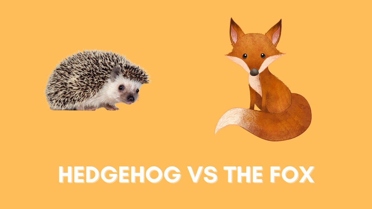 The Hedgehog Concept